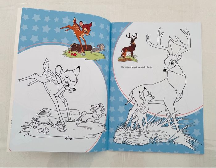Livre coloriage Animaux Disney + stickers - photo numéro 3