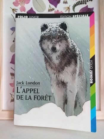 Livre l'appel de la forêt de Jack london