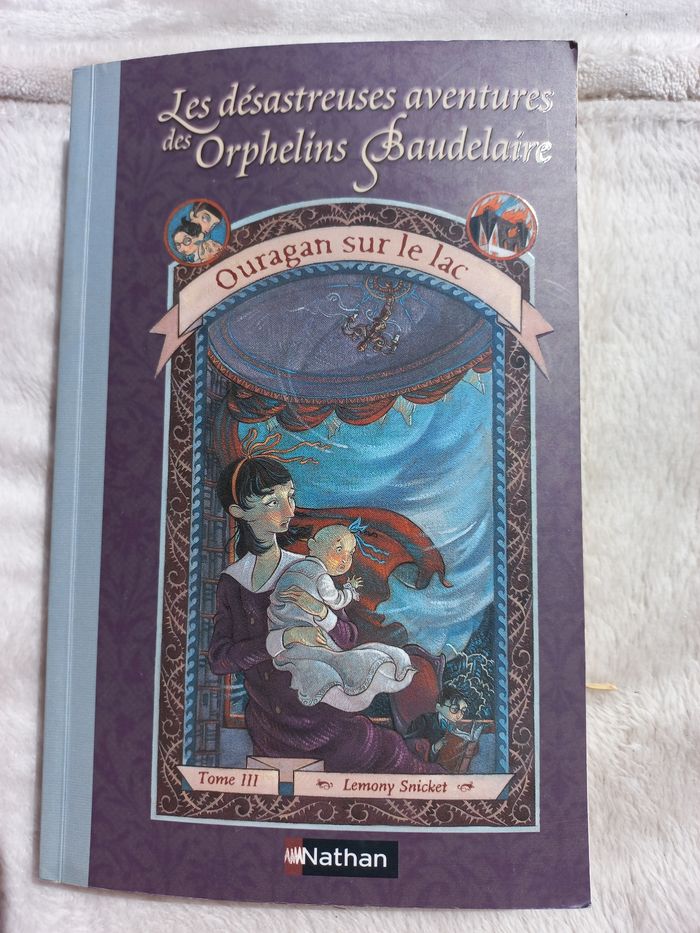 Les désastreuses aventures des orphelins de Baudelaire. Tome3