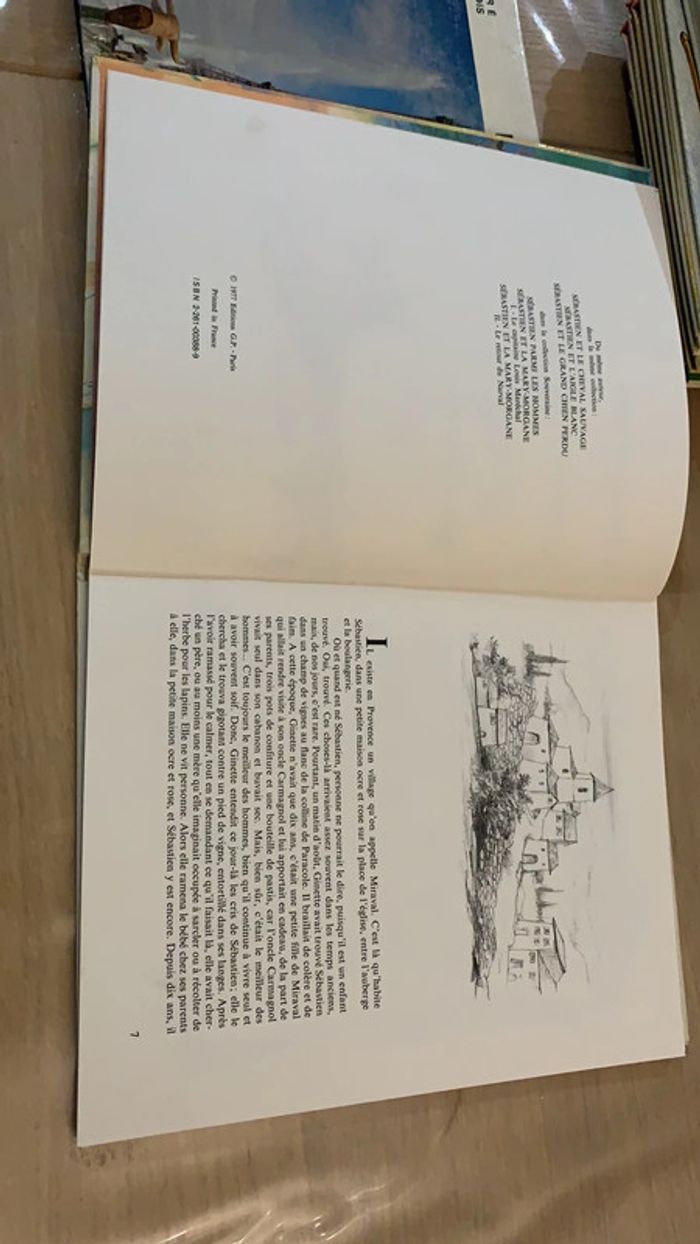 Le renard et Sébastien - photo numéro 2