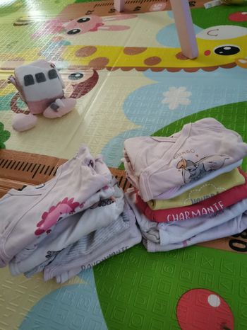 Lots de 12 bodies