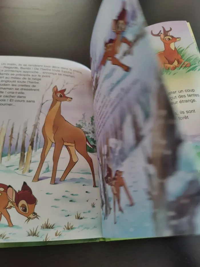 Livre Bambi - photo numéro 7