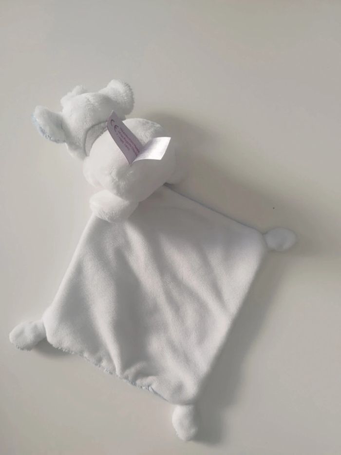 Koala pommette - photo numéro 3