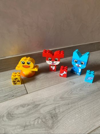 Animaux duplo