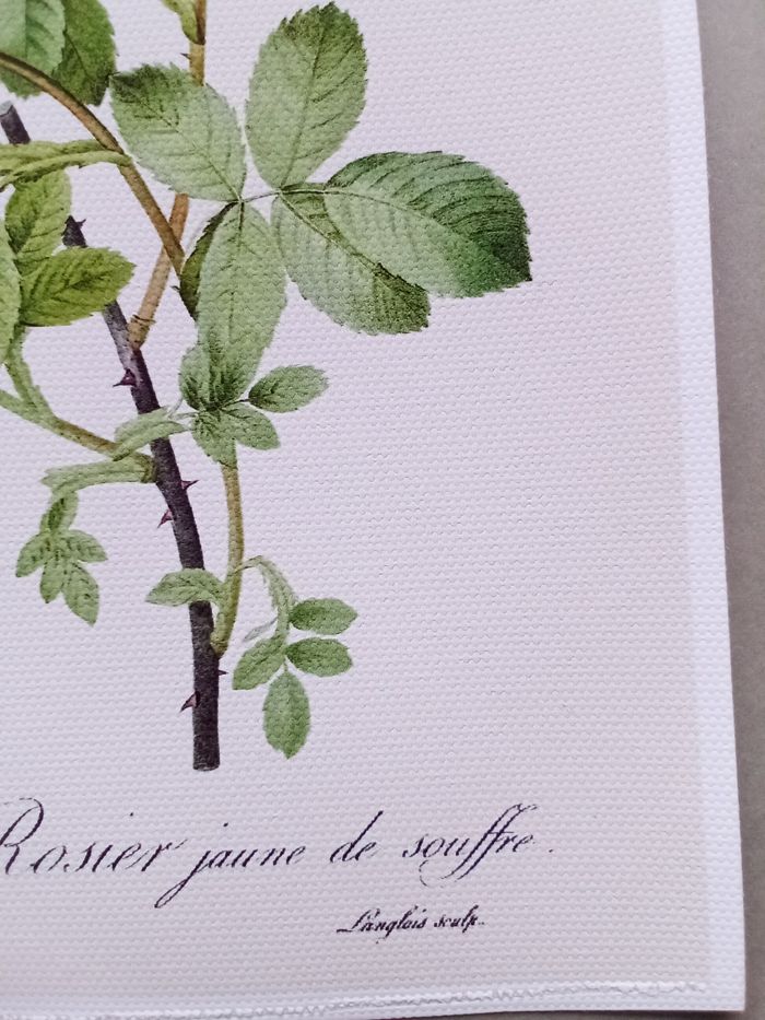 AFFICHE POSTER TOILE INFÉRIEURE A4 FLEURS ROSES - photo numéro 3