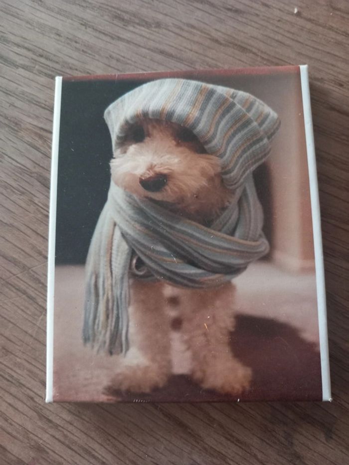 Porte billet magique