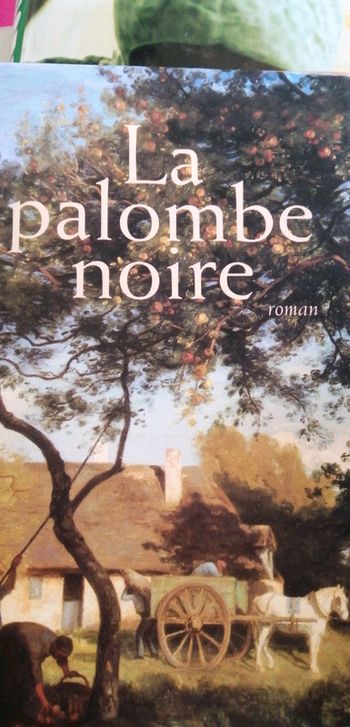 La palombe noire