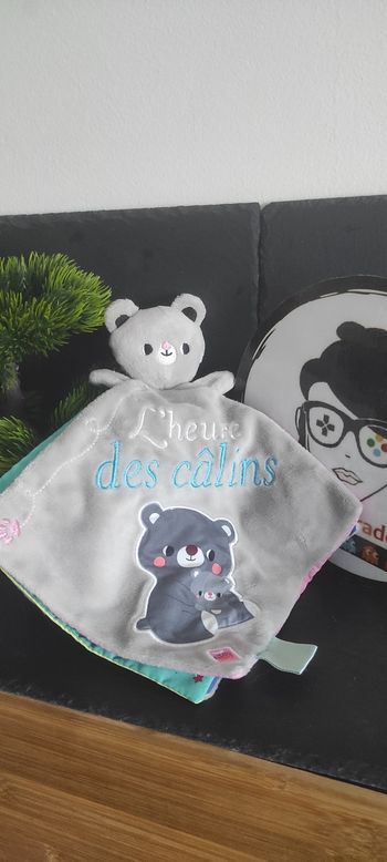 Doudou plat livre ours gris L'heure des calins hachette vert rose ourson Bleu