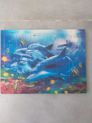 Puzzle dauphins
