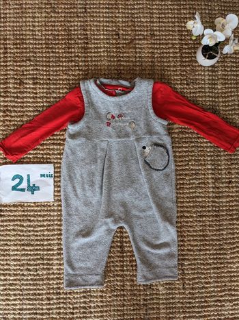 Ensemble salopette hérisson et sous pull 24 mois