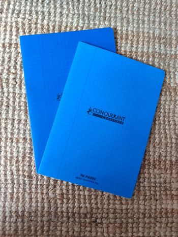 Lot de 2 grands cahiers A4