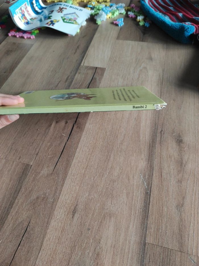 Bambi 2 Disney - photo numéro 3