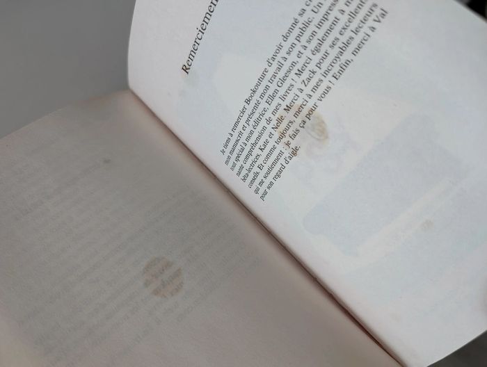 La femme de ménage - photo numéro 4