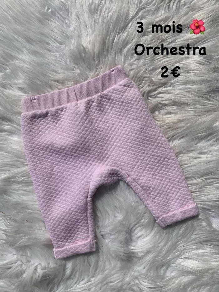 Sarouel 🌺 3 mois 🌺 Orchestra