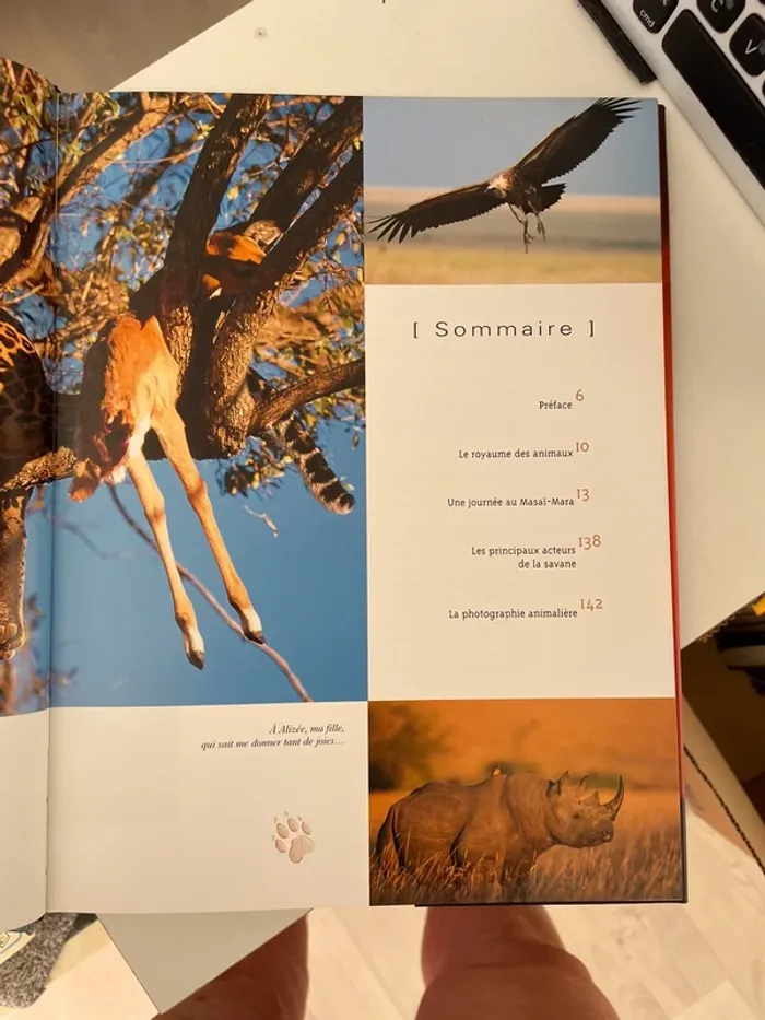 Haya Safari ! une journée au Masaï-Mara - photo numéro 5