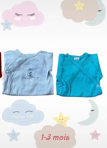 Lot de 2 bodys 1 mois