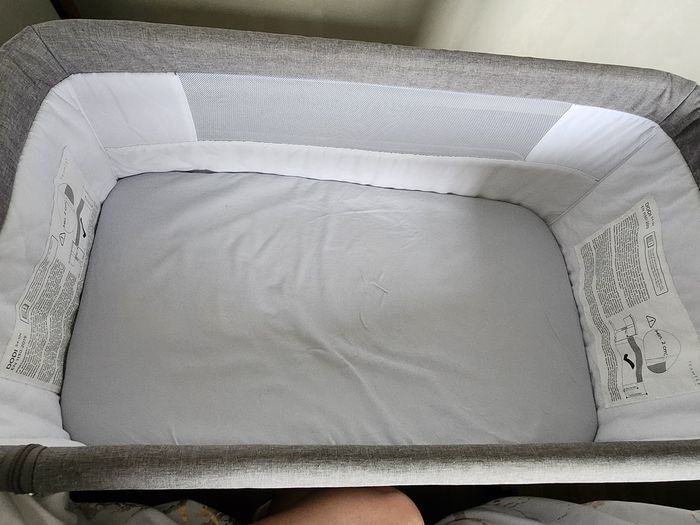 Cododo nania - photo numéro 3