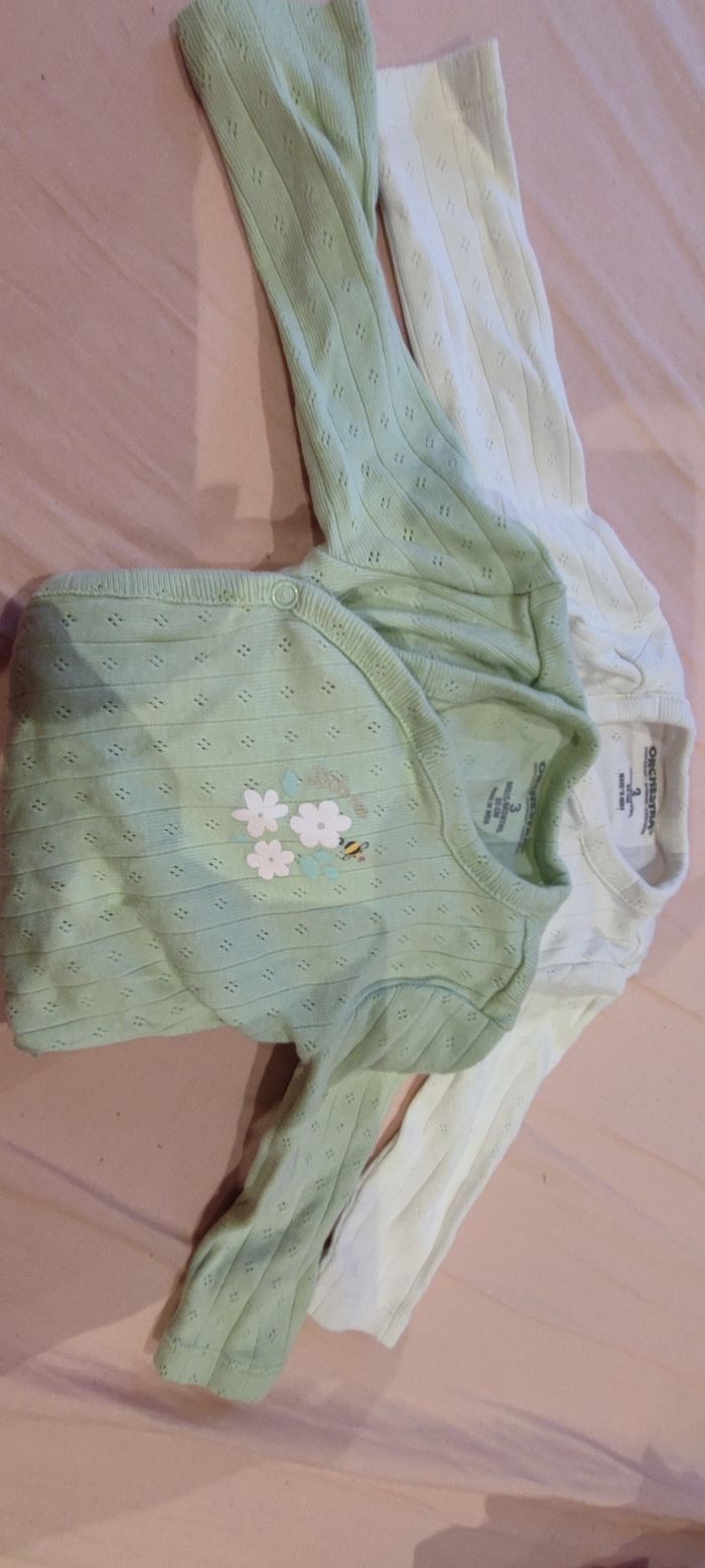 Lot de 2 bodies