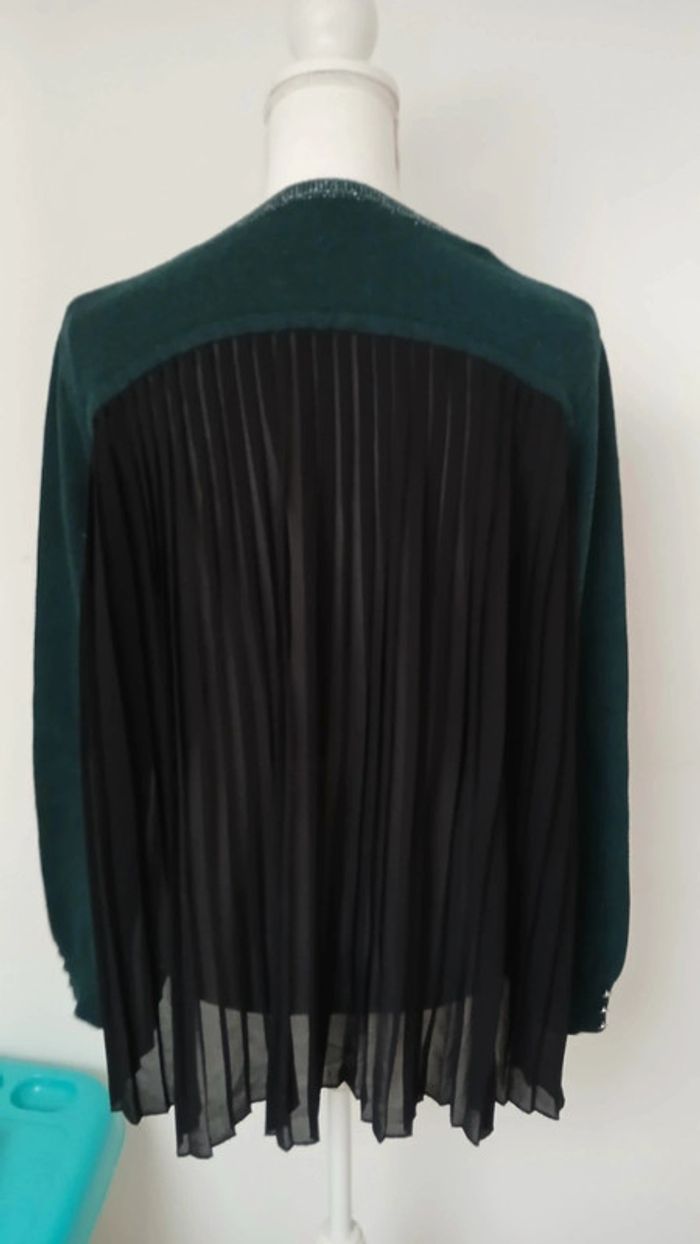Pull dos transparent morgan - photo numéro 4