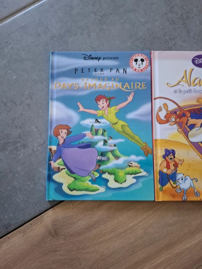 2 livres Disney - photo numéro 2