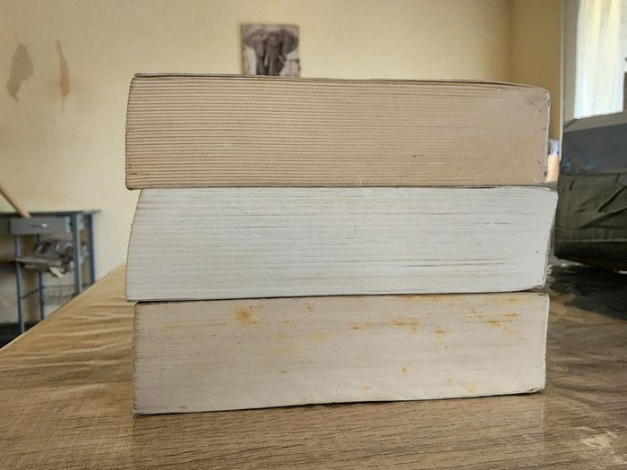 Trilogie livres brochés Le Labyrinthe : l'épreuve, la terre brûlée et le remède mortel - photo numéro 4