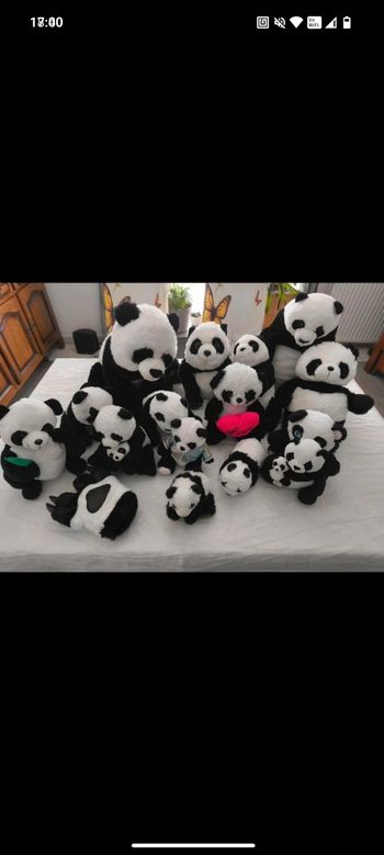 Lot peluches panda