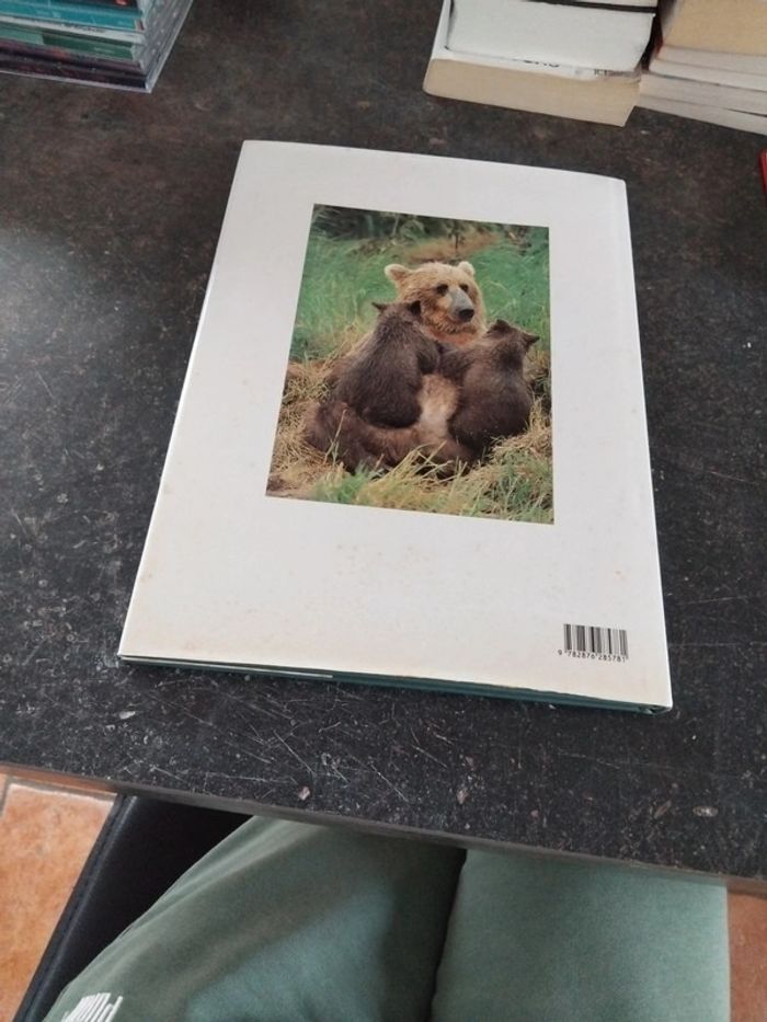 Livre ours - photo numéro 6