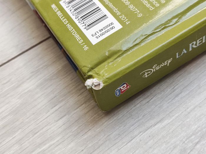 Disney - Le royaume des glaces - photo numéro 7
