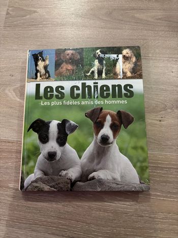 Livre les lames grises