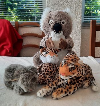 Peluche