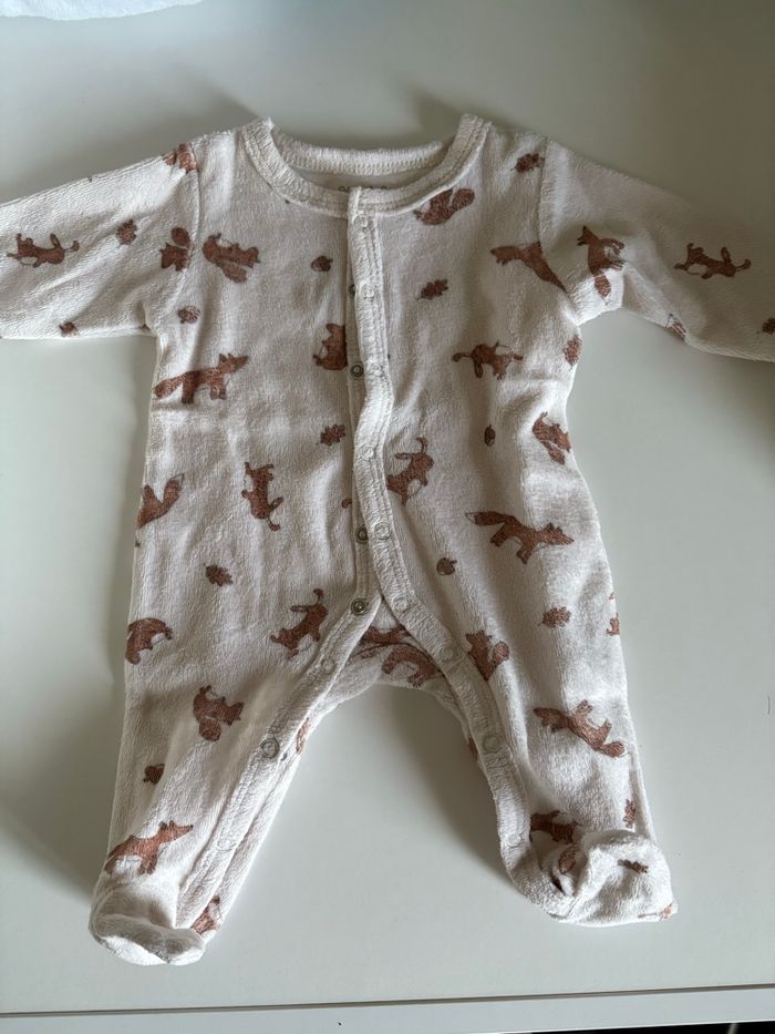 Grenouillères - photo numéro 7