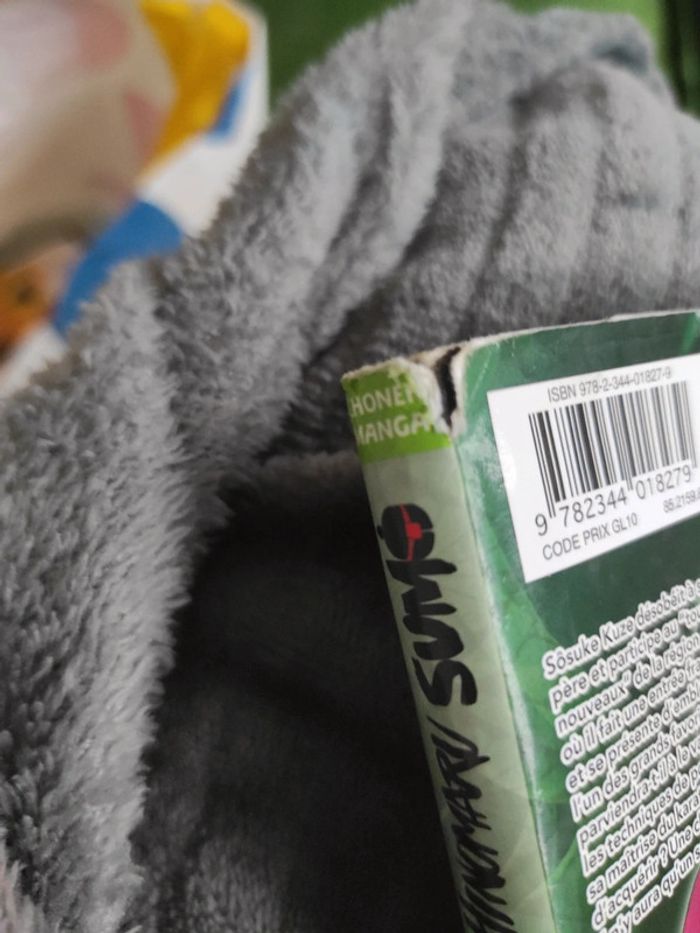 Hinomaru tomes 1,3,4 - photo numéro 8