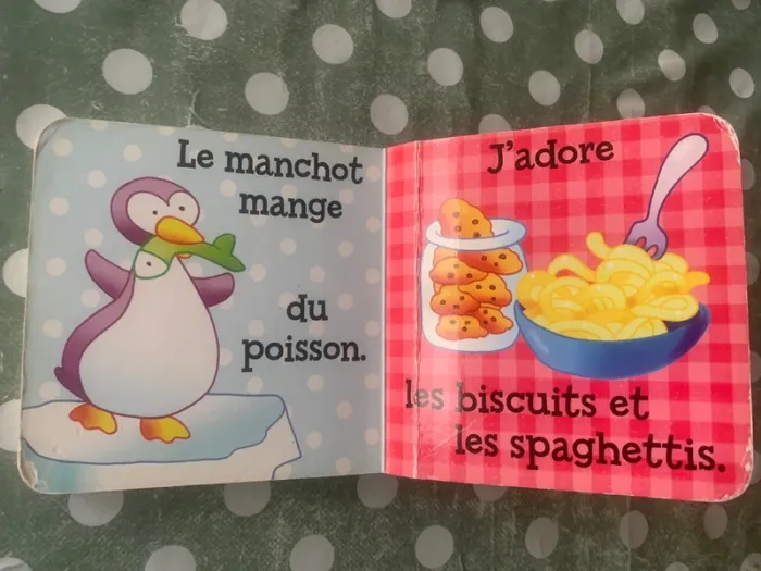 Livre poignée - photo numéro 10