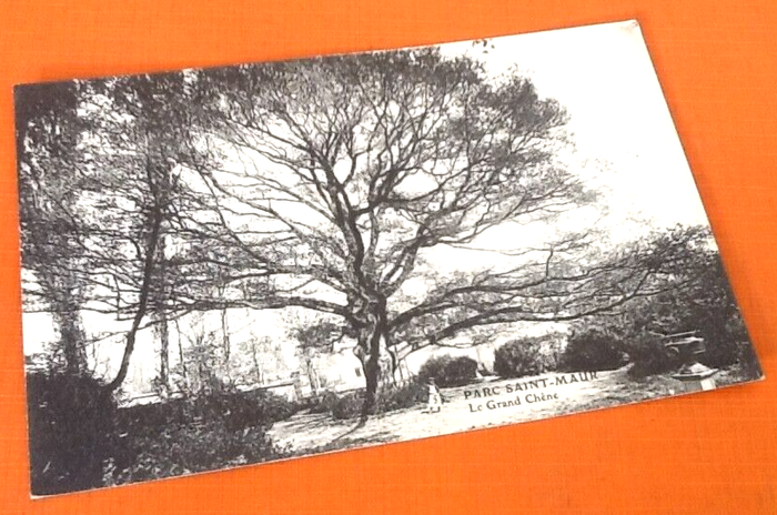 Carte postale ancienne Saint-Maur (Val-de-Marne) Parc Saint-Maur Le Grand Chêne - photo numéro 3