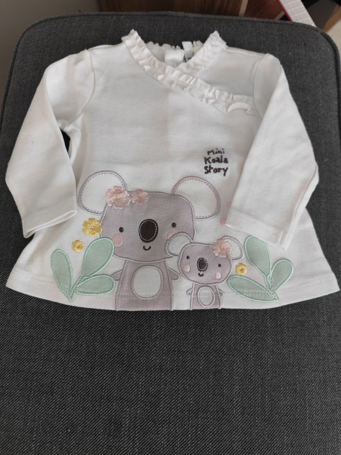 Ensemble koala - photo numéro 2