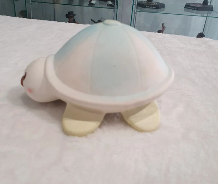 Tortue qui pouette - photo numéro 2