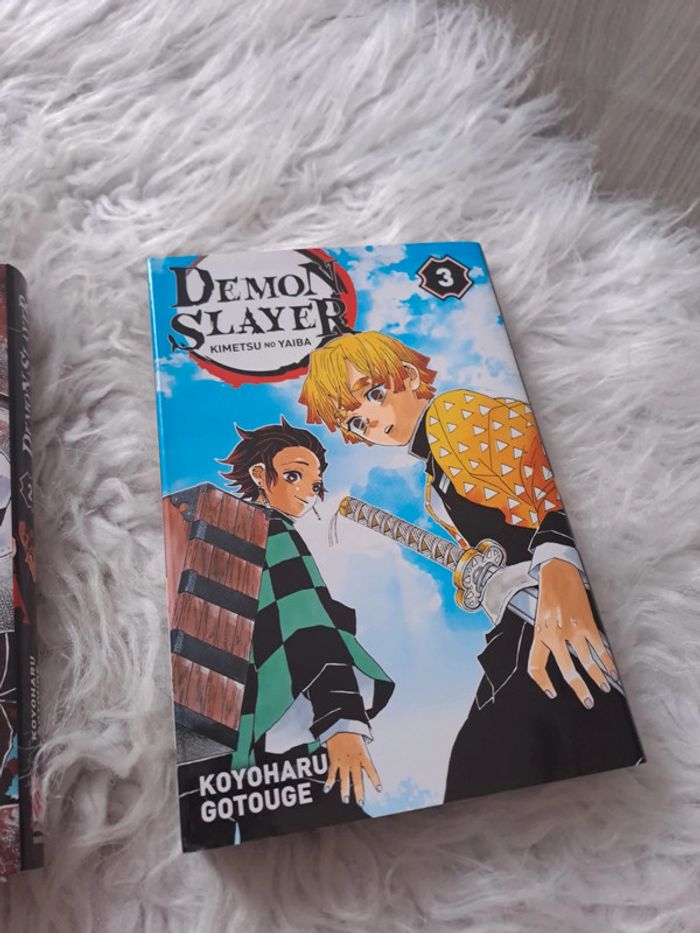 Manga démon slayer tome 1 2 3 - photo numéro 4