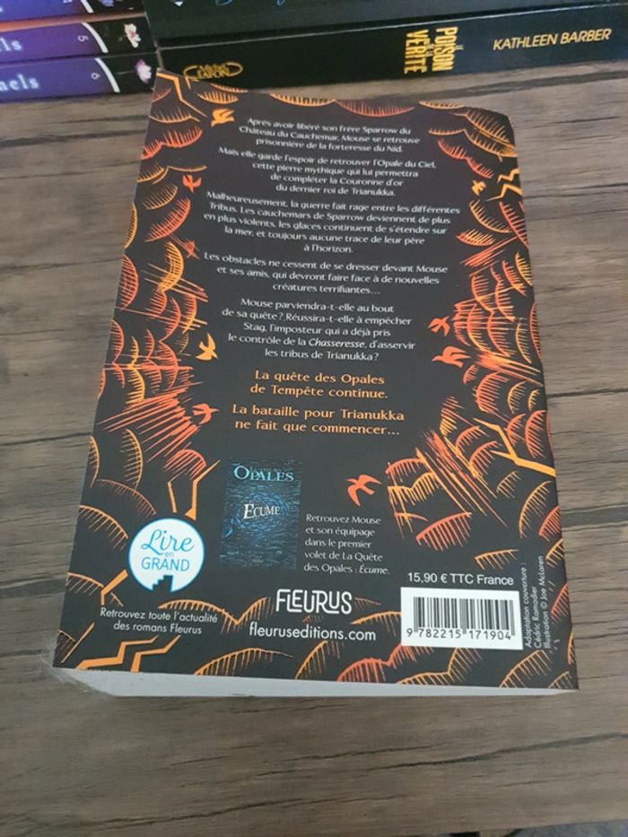 La quête des Opales Tome 2: Blizzard - photo numéro 2