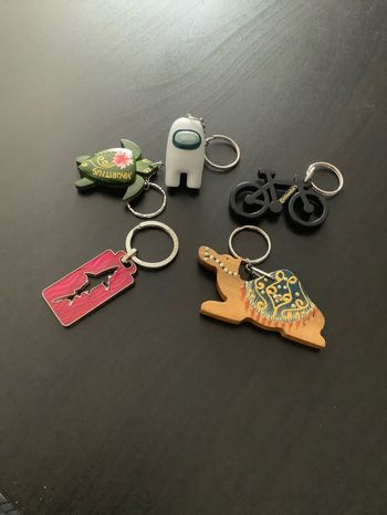 Lot de 5 porte-clefs variés