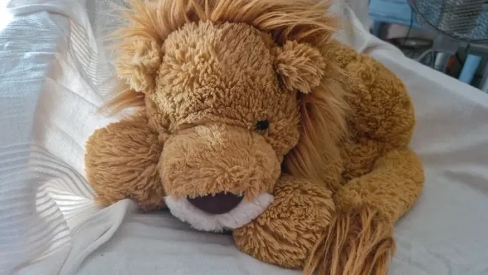 Lion jellycat - photo numéro 9