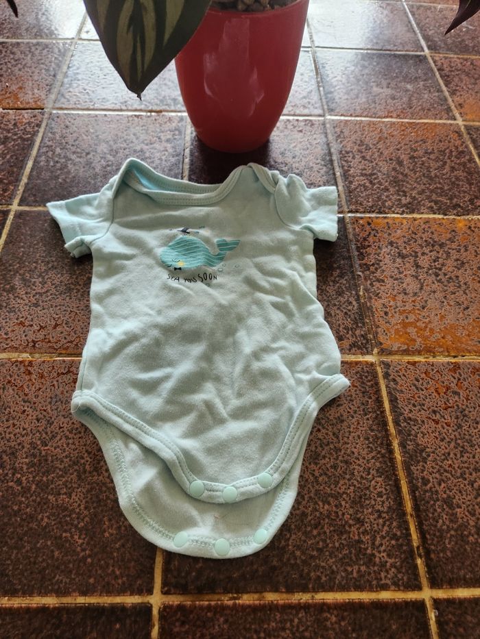 Body manches courtes baleine
