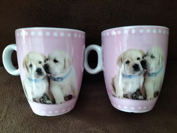 Lot de 2 mugs
