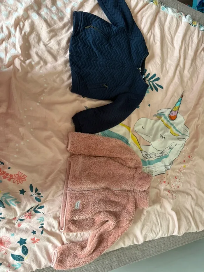 Deux gilet polaire