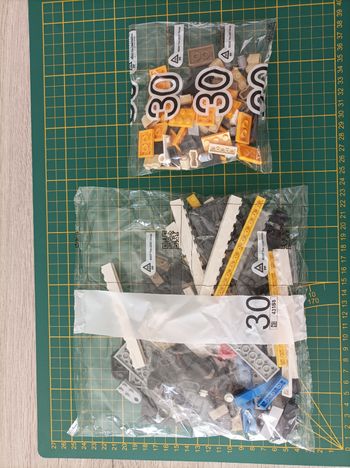 Sachet numéro 30 n°30 complet pour le set Lego Icons 10294 Le Titanic