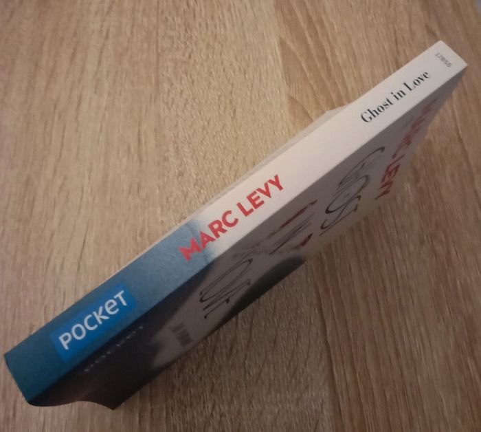 Marc Levy 📚 Gost in love - photo numéro 3