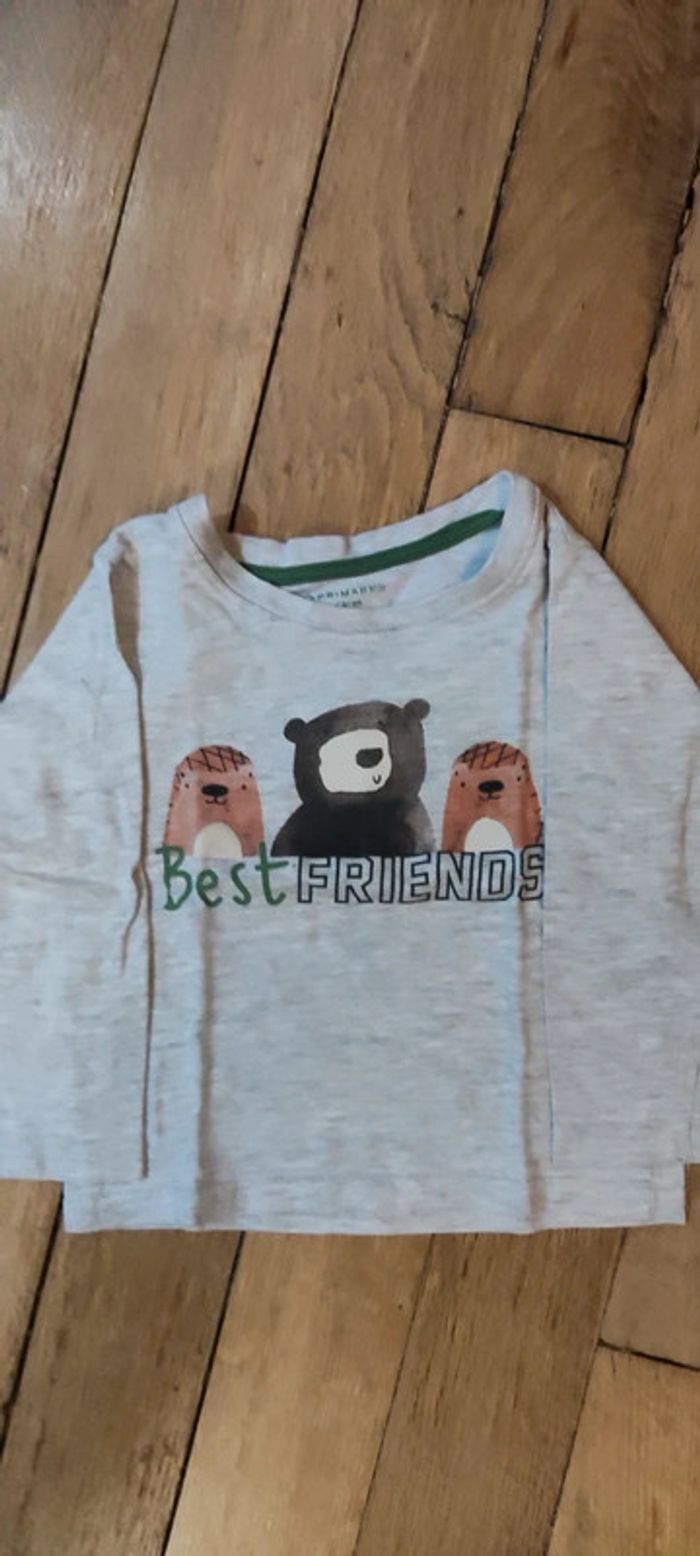 Lot t shirt animaux ml 2-3ans - photo numéro 2