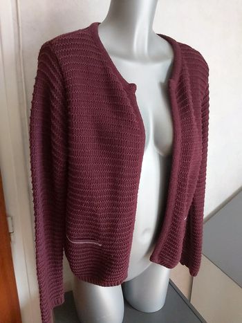 🦋 Veste Aubergine Cache cache L