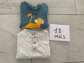 Lot de 2 t-shirts disney et col mao