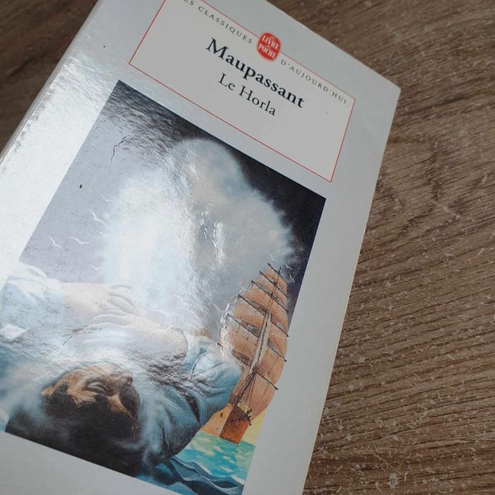 📚 Livre La Horla Maupassant #emyfleury_livres - photo numéro 4