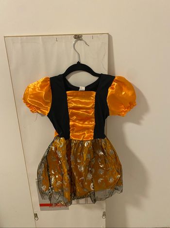 Costume